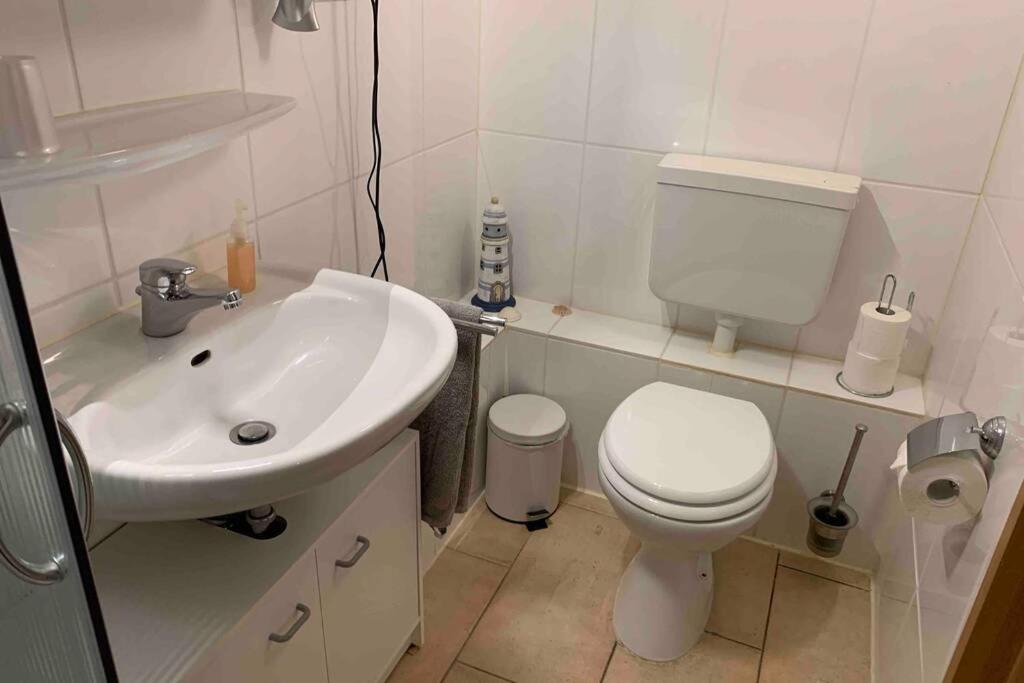 Ferienwohnung Schmidt Rosengarten  Exteriér fotografie