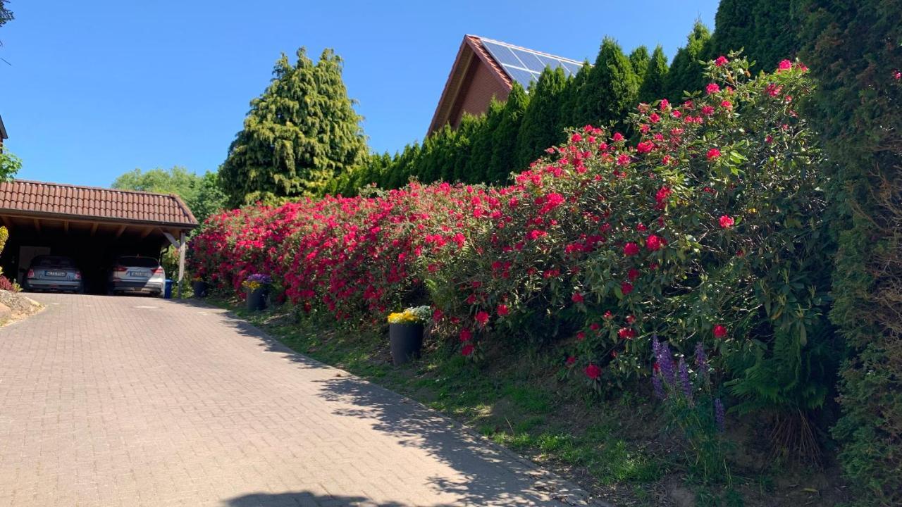 Ferienwohnung Schmidt Rosengarten  Exteriér fotografie